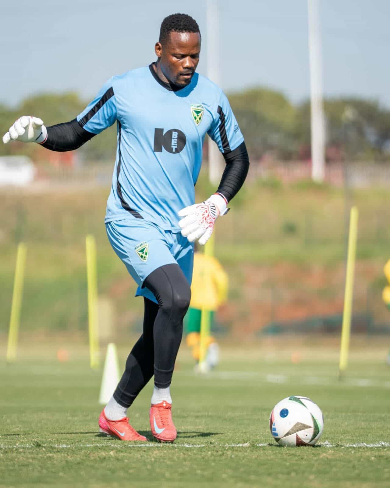 Soccer player in a blue jersey with the number 10 on a grass field